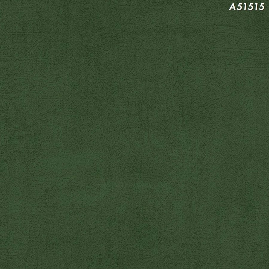 CENTURY A51515