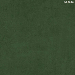 CENTURY A51515