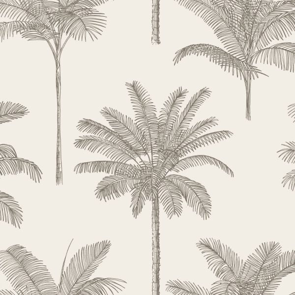 PARADISE HOME 154139163