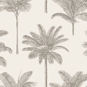 PARADISE HOME 154139163