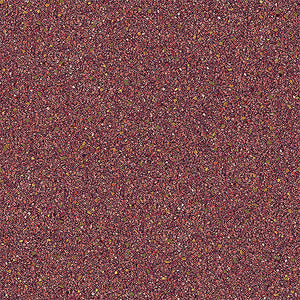 SR210206